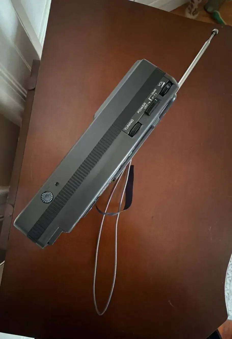 Sony watchman fd